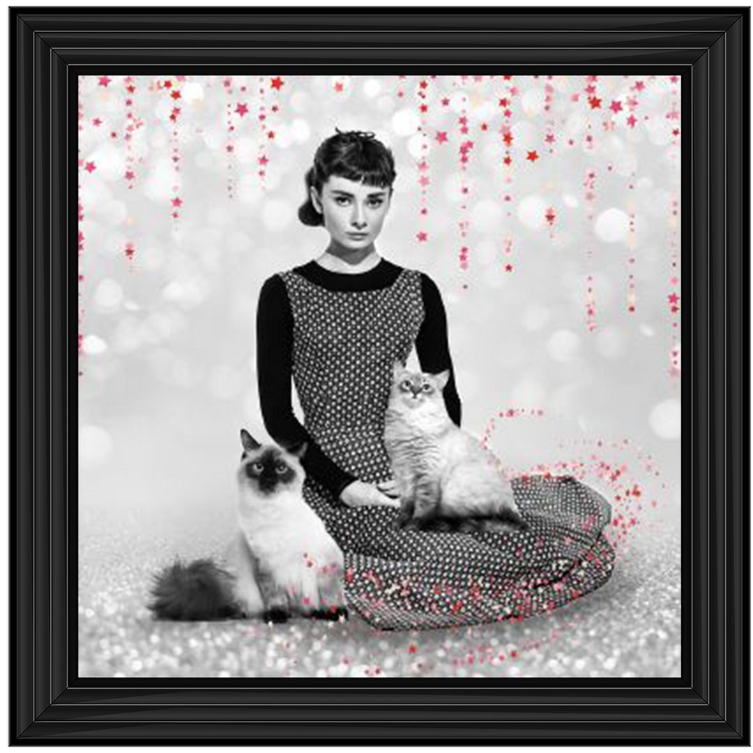 IC011 Audrey and cats