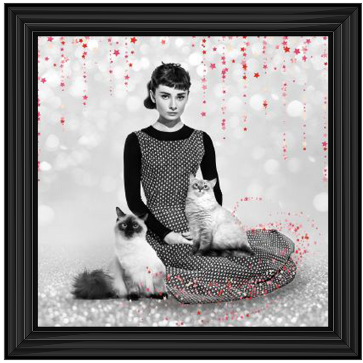 IC011 Audrey and cats