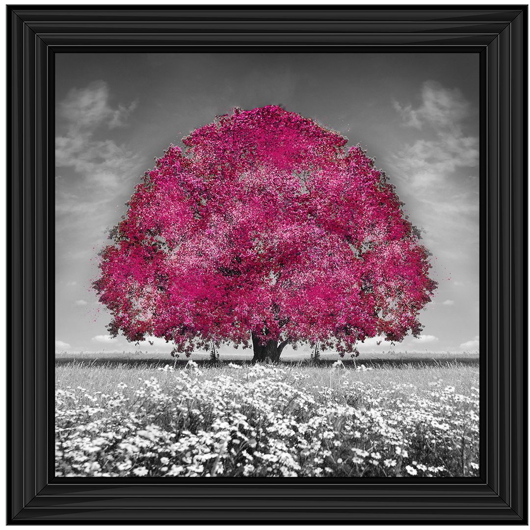 LS272 Pink Oak Tree