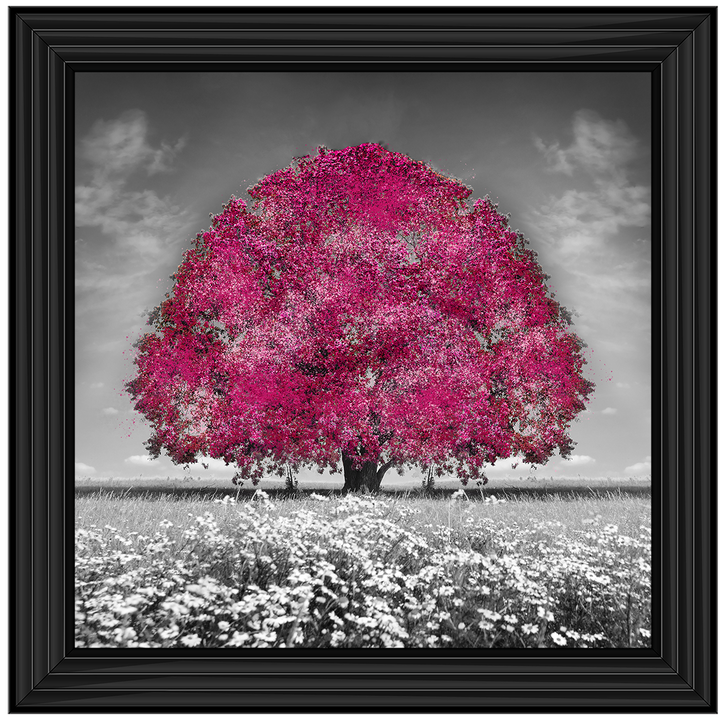 LS272 Pink Oak Tree
