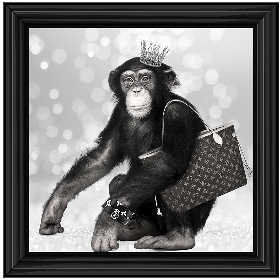 AN151 Designer Monkey