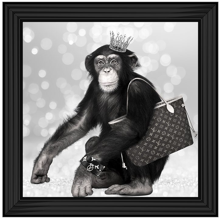 AN151 Designer Monkey