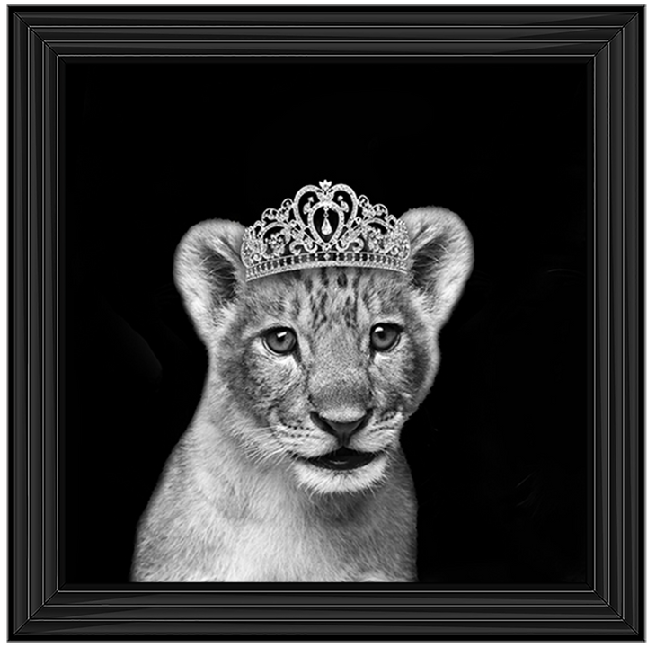 Princess Cub Silver