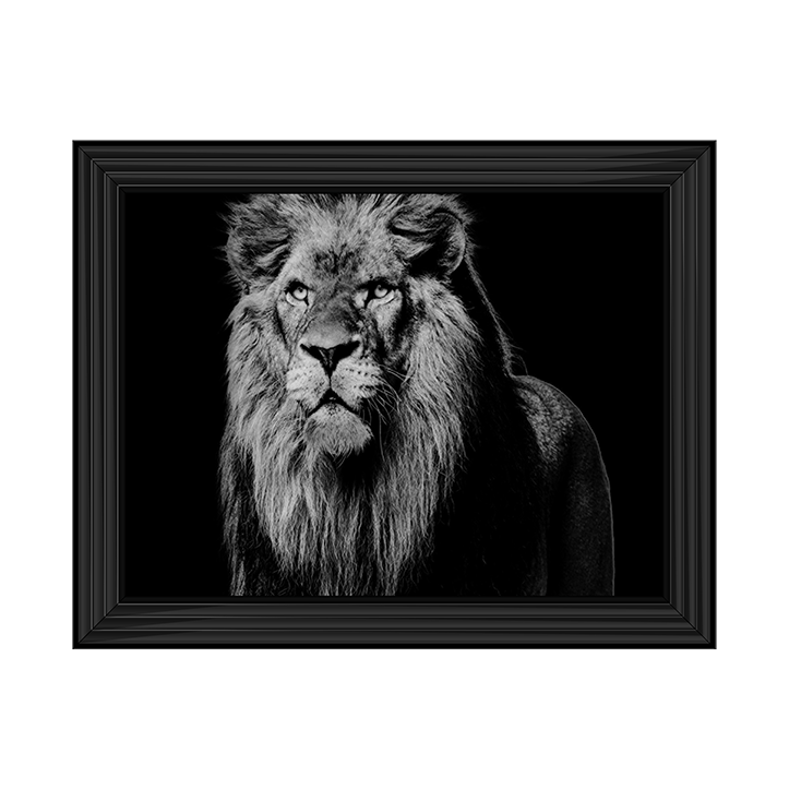 Dark Night Leo