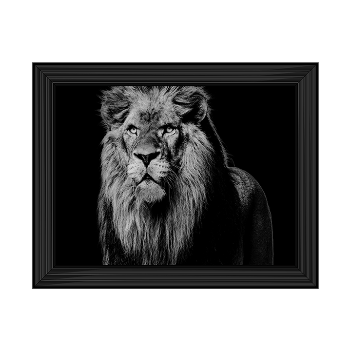 Dark Night Leo