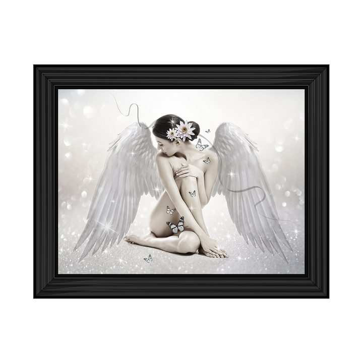 FG020 Angel & Butterflies