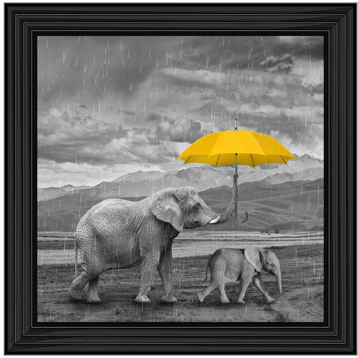 AN343 I've got you (yellow) II