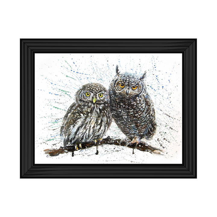 Owls