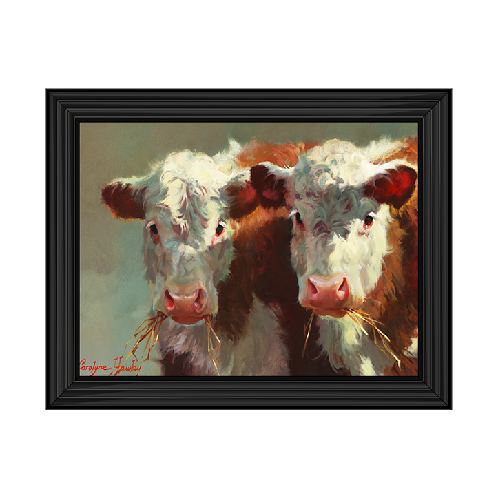 Cow Belles