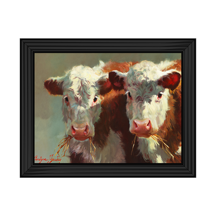 Cow Belles