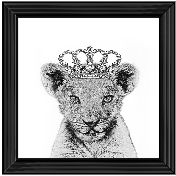 Princess Cub
