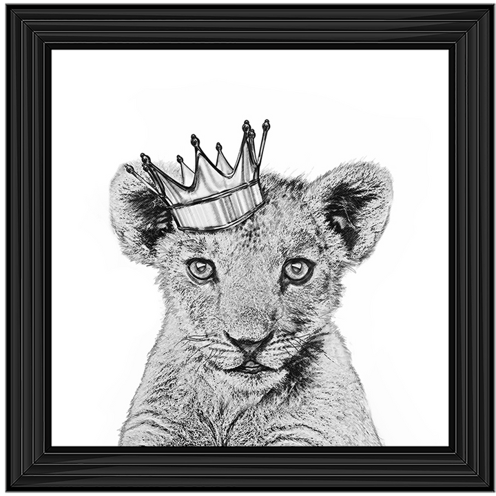 Prince Cub
