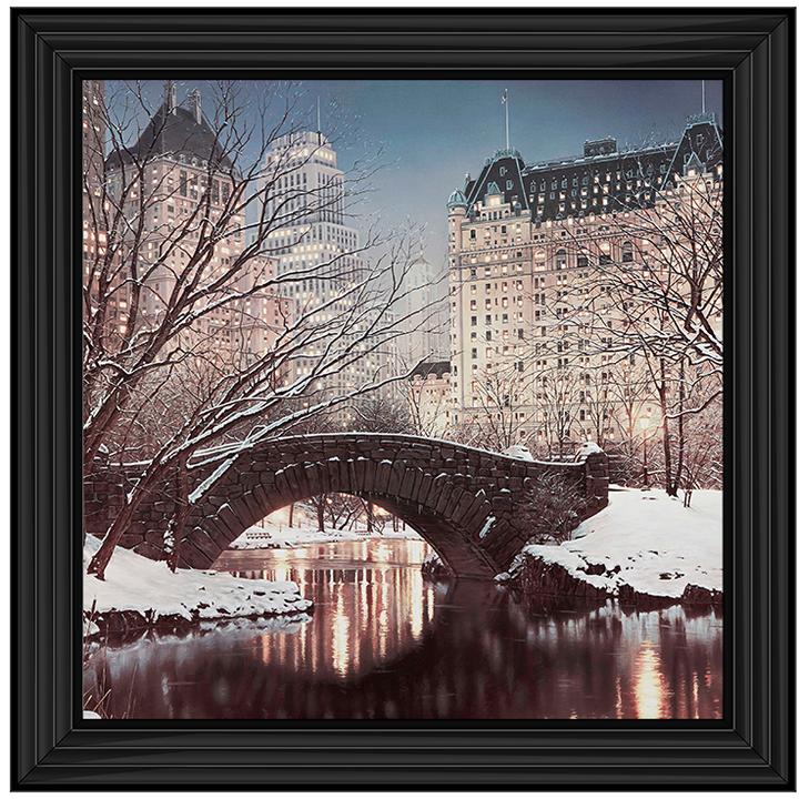 CY100 Gapstow Bridge in Winter, Central Park, New York