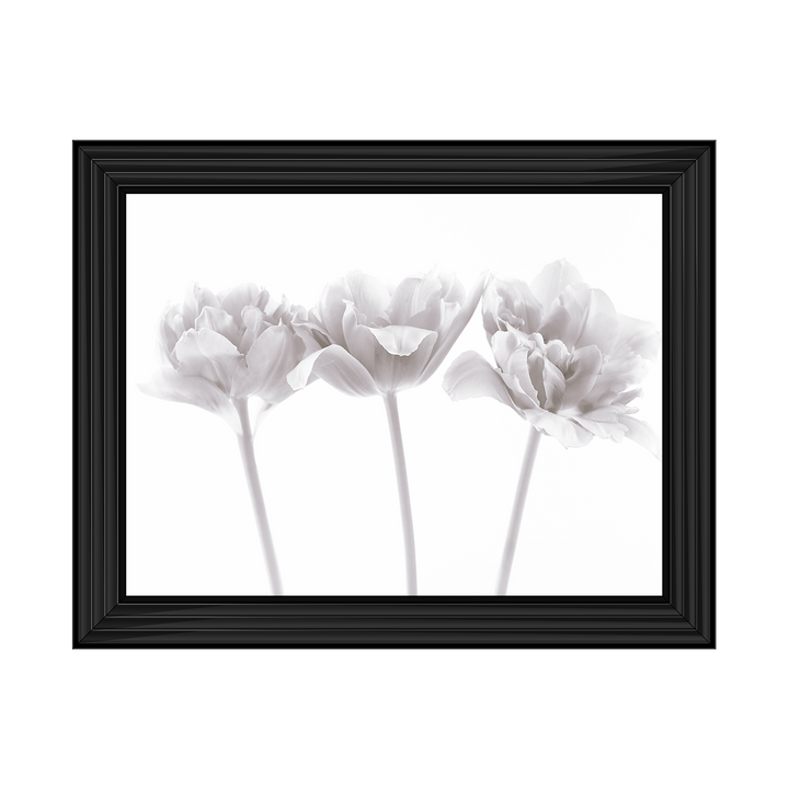 Set of 3 flowers
