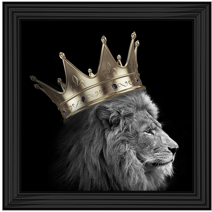 AN297 King Lion Gold