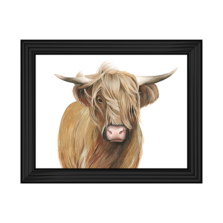 Highland Cattle I