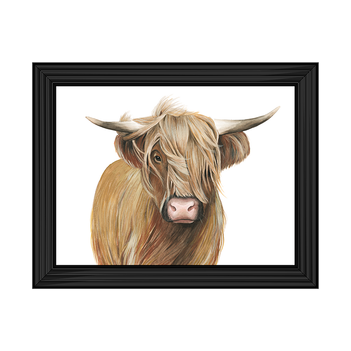 Highland Cattle I