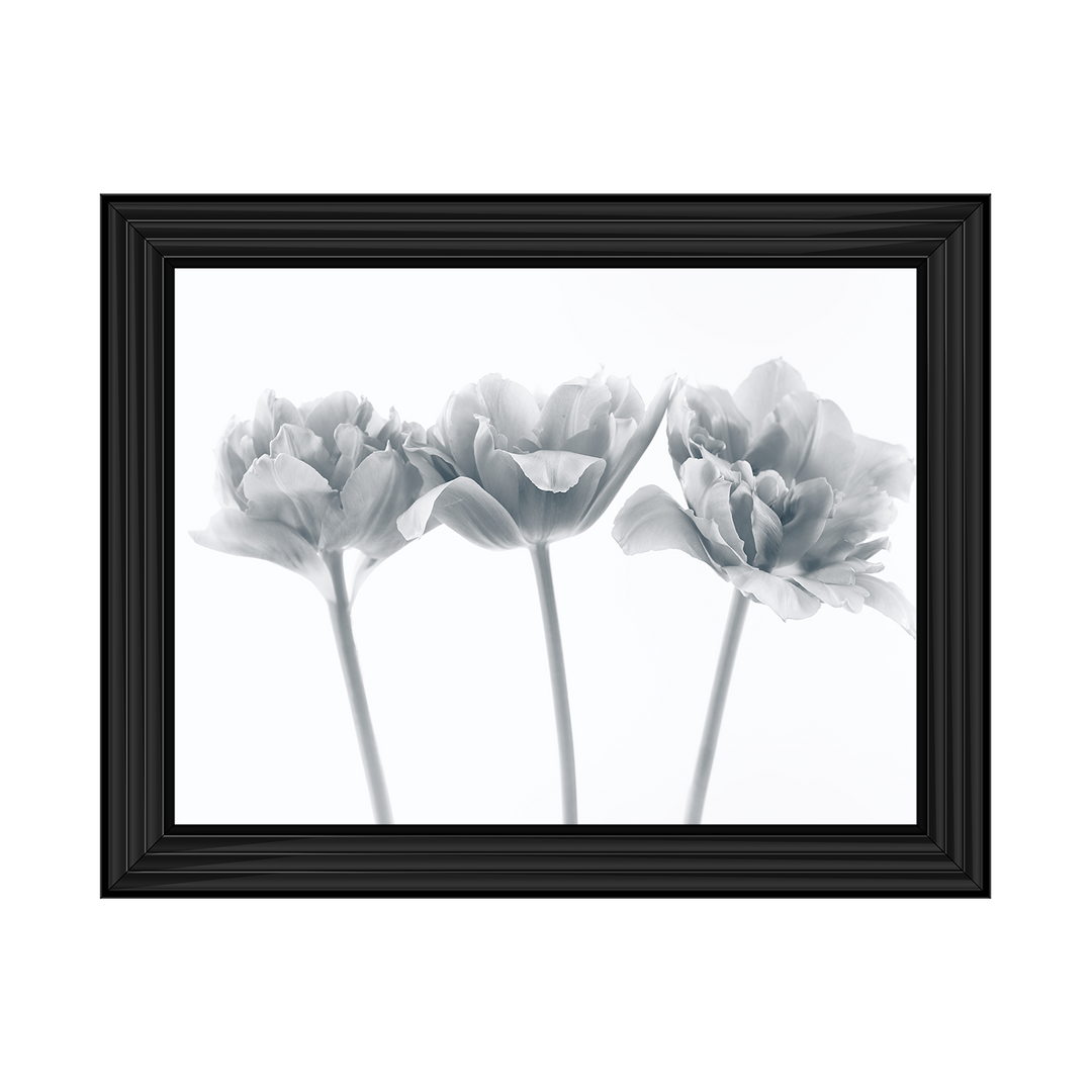 Set of 3 flowers II