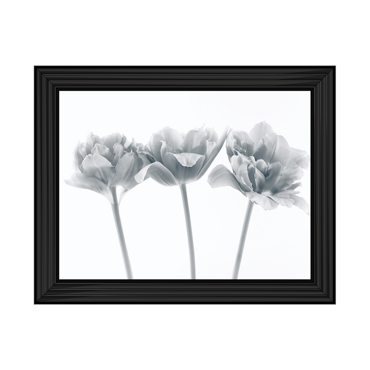 Set of 3 flowers II