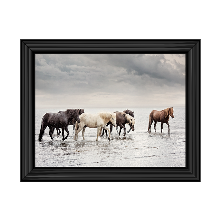 Water Horses IV