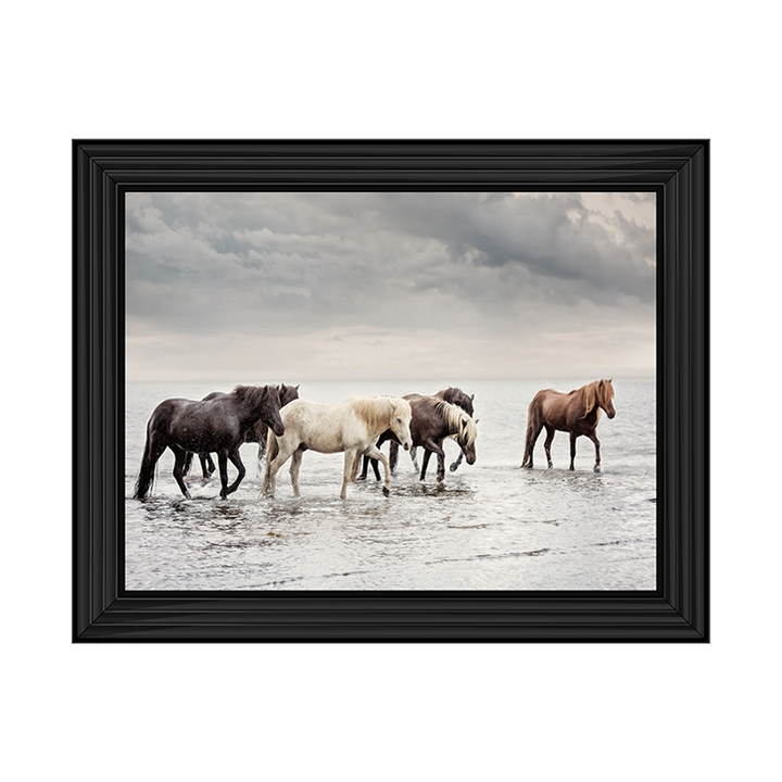 Water Horses IV