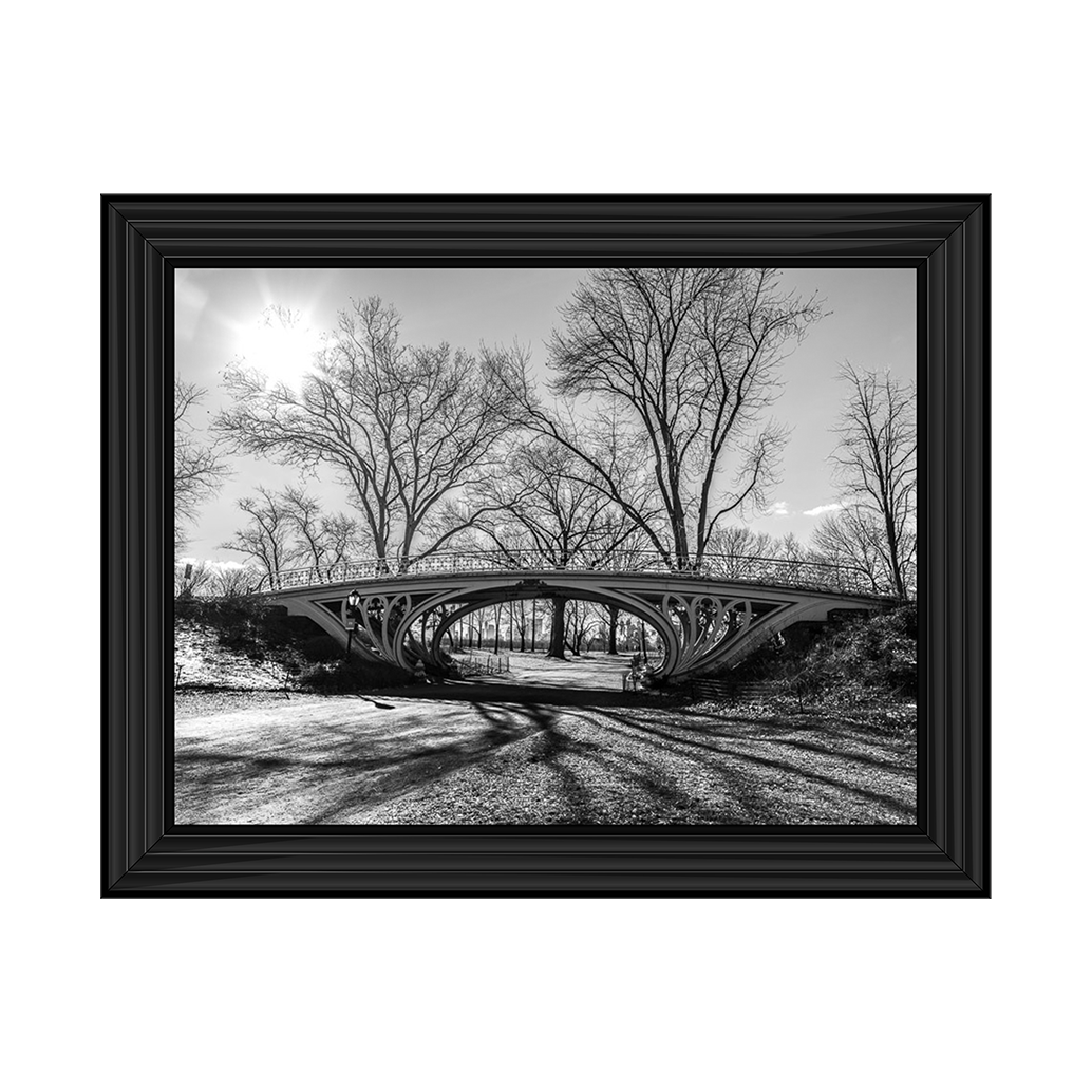 Walkway bridge in Central park, New York