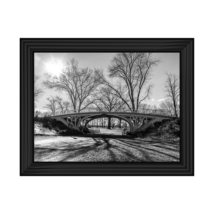 Walkway bridge in Central park, New York