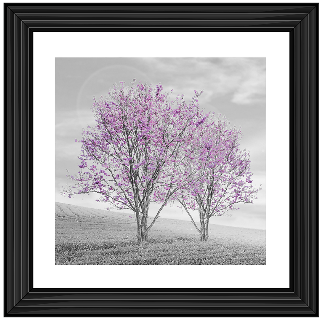LS124 Purple Twin Trees