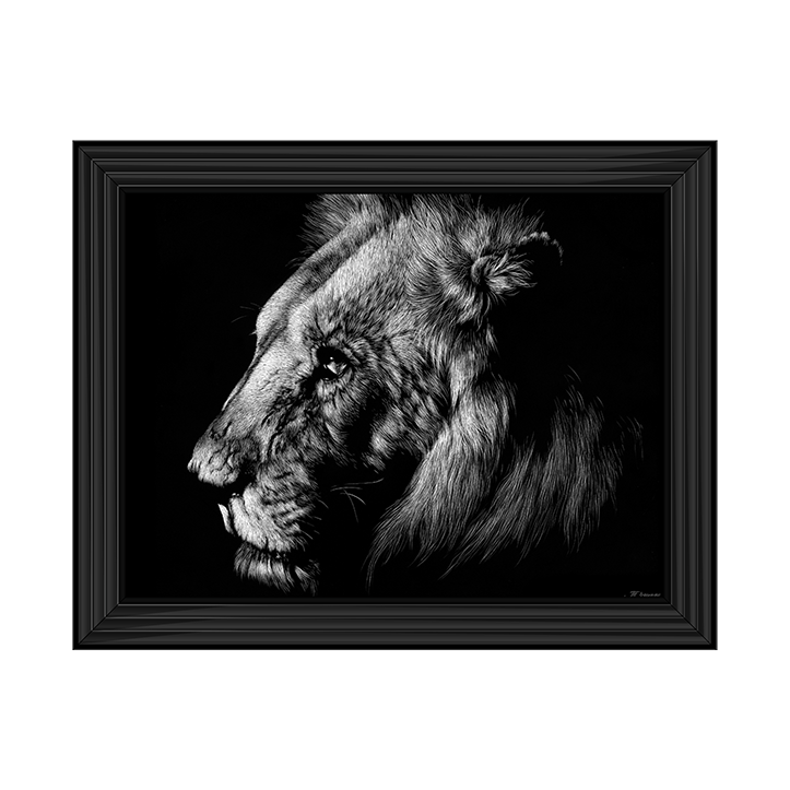 AN025 Wildlife Scratchboards I