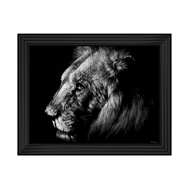 AN025 Wildlife Scratchboards I