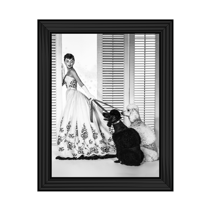IC005 Audrey Hepburn Poodles