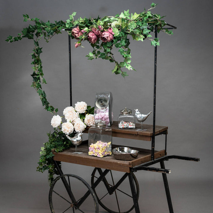 Ivy-Garland