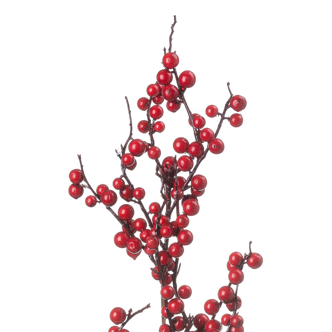 Medium-Festive-Berry-Pick
