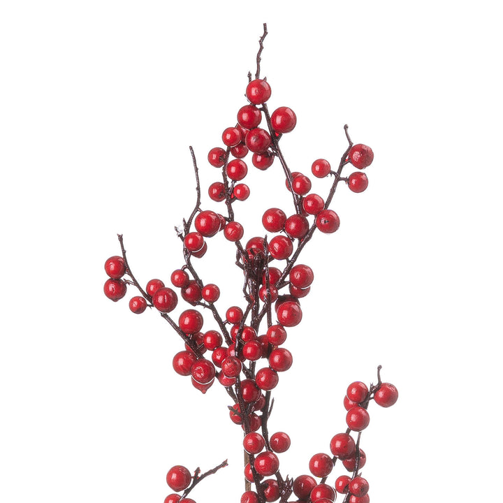 Medium-Festive-Berry-Pick