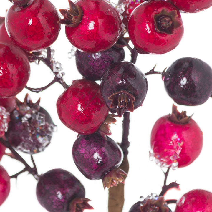 Fat-Red-Berry-Pick