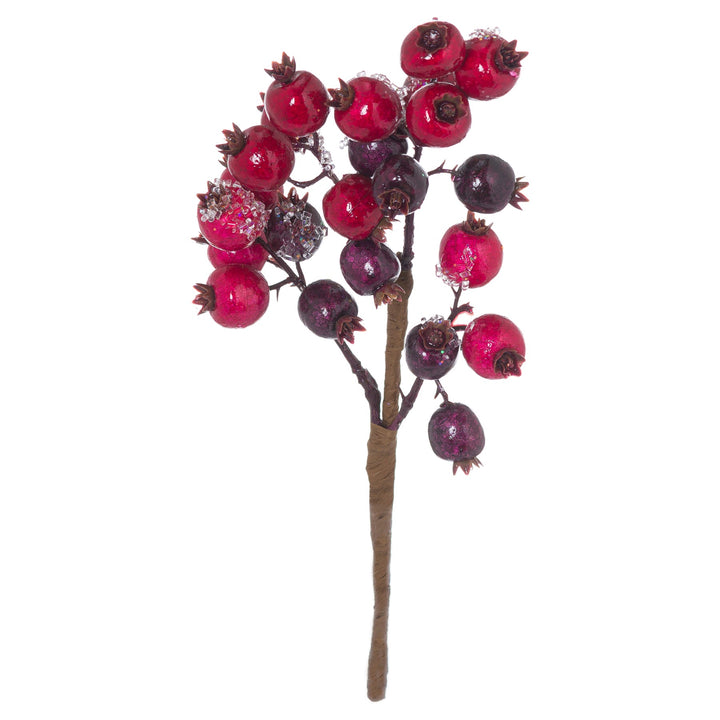 Fat-Red-Berry-Pick