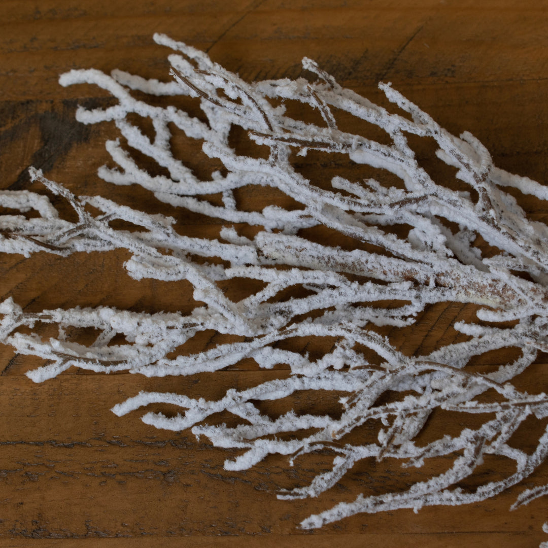 Snow-Covered-Branch