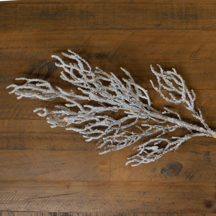 Snow-Covered-Branch