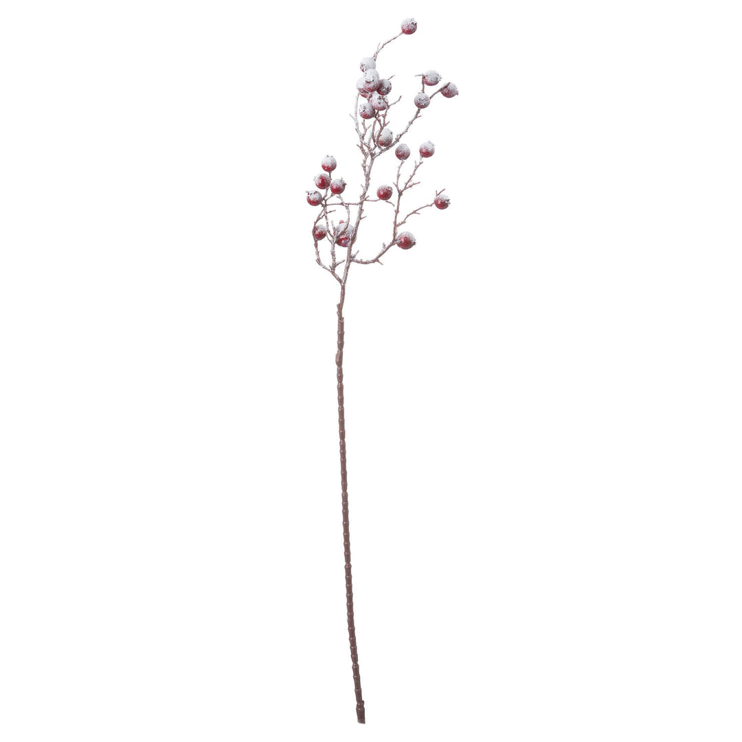 Large-Red-Festive-Berry