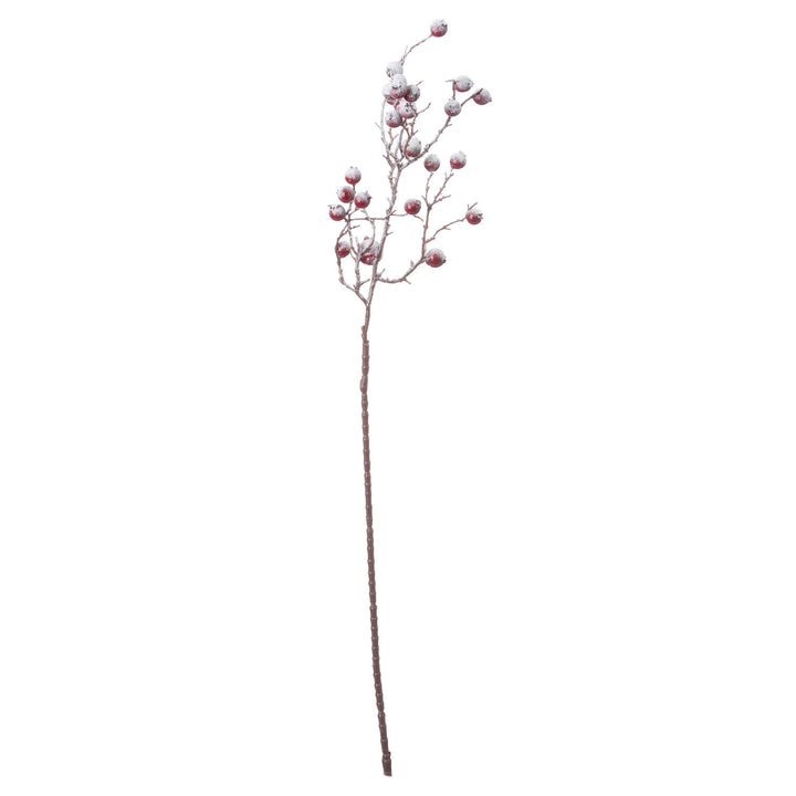 Large-Red-Festive-Berry