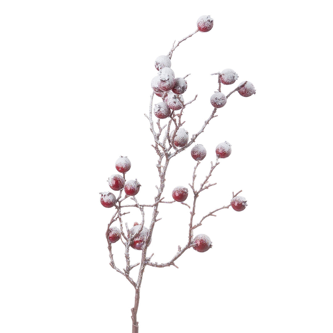 Large-Red-Festive-Berry