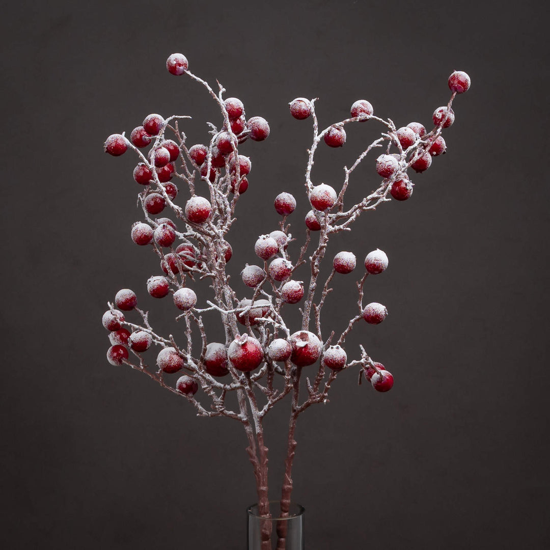 Large-Red-Festive-Berry