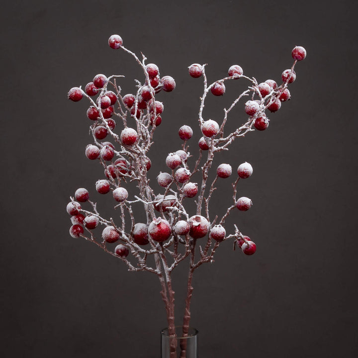 Large-Red-Festive-Berry