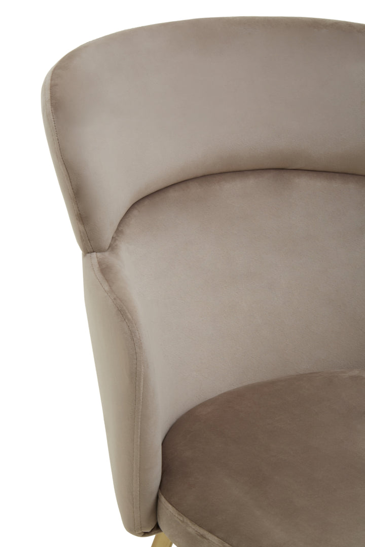 Veneto Plush Mink Velvet Accent Chair