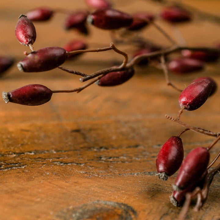 Burgundy-Rosehip-Stem