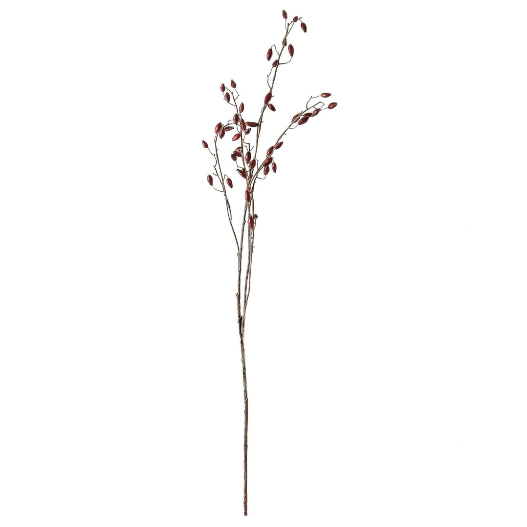 Burgundy-Rosehip-Stem