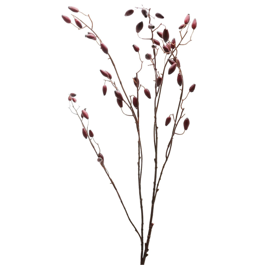 Burgundy-Rosehip-Stem