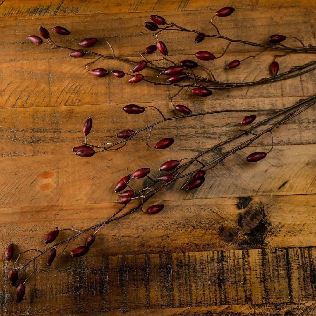 Burgundy-Rosehip-Stem