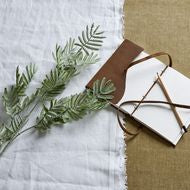 Silver Wattle Leaf Stem