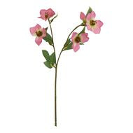Natural Garden Collection Pink Variegated Hellebore Stem